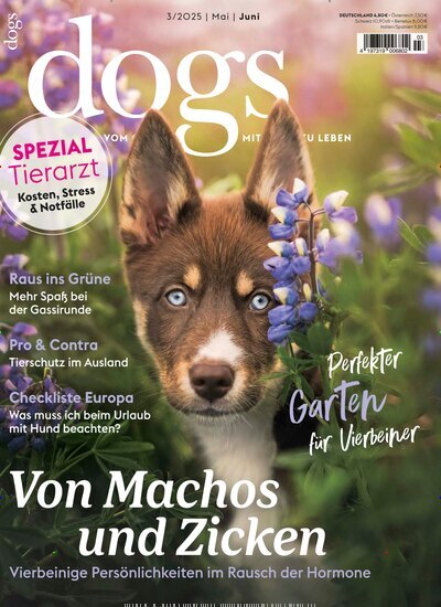 Titelbild der Ausgabe 3/2025 von Dogs. Diese Zeitschrift und viele weitere Elternzeitschriften und Tierzeitschriften als Abo oder epaper bei United Kiosk online kaufen.